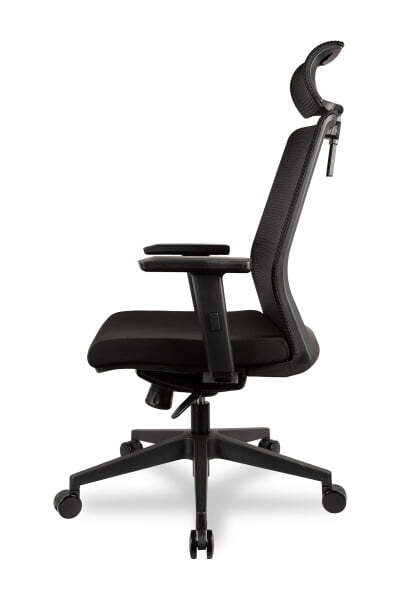 College CLG-433 MBN-A Black